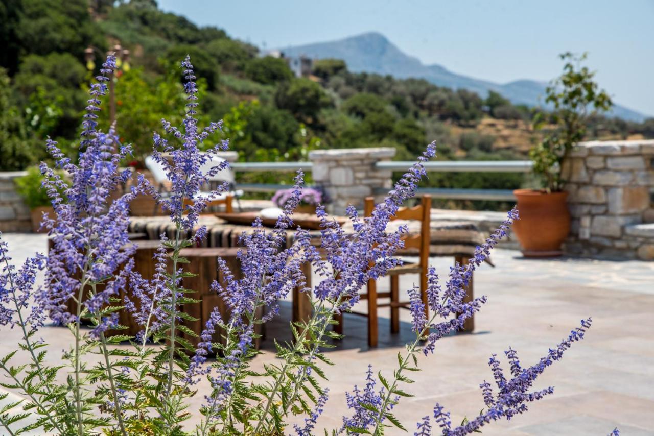 Elaiolithos - Luxury Villa Suites - Adults Only Khalkíon Exterior foto
